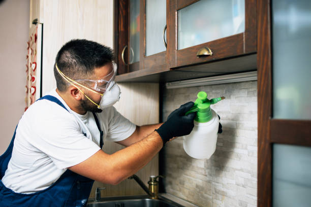 Best Pest Removal Services  in Rocky Top, TN